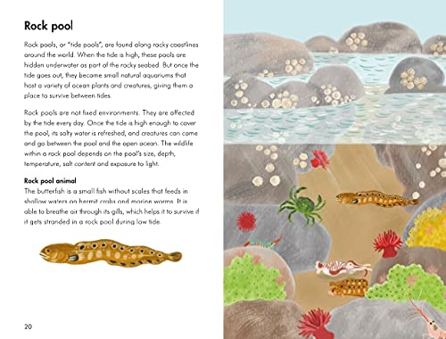 Animal habitats; a ladybird book
