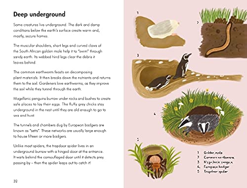 Animal habitats; a ladybird book