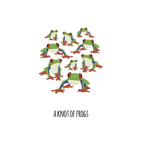 101 Collective Nouns