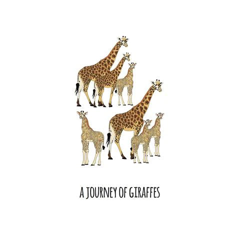 101 Collective Nouns