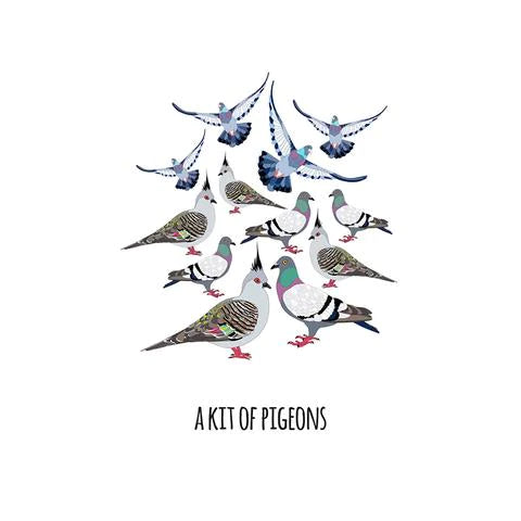 101 Collective Nouns