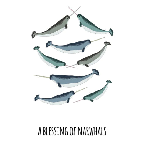 101 Collective Nouns