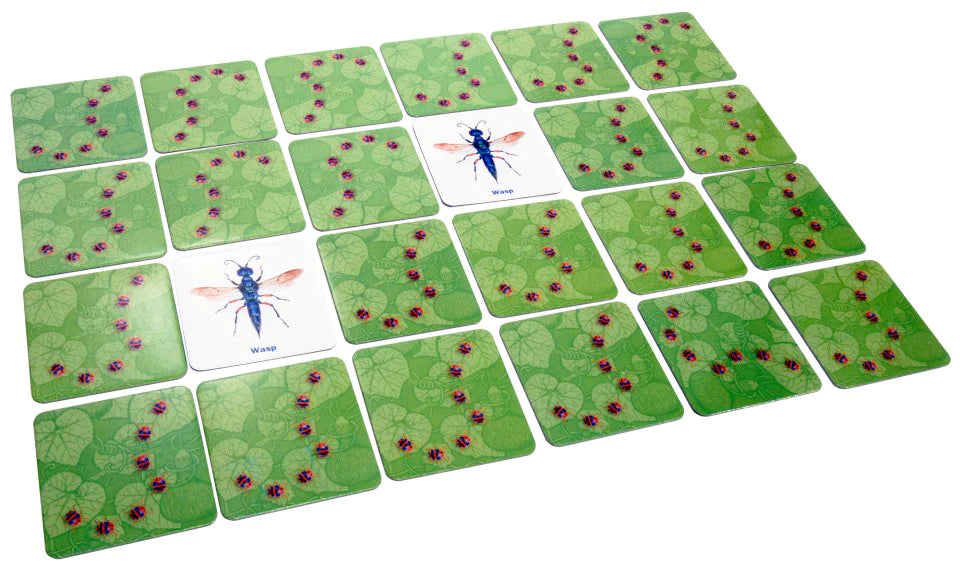 Incroyable jeu de mémoire d'insectes