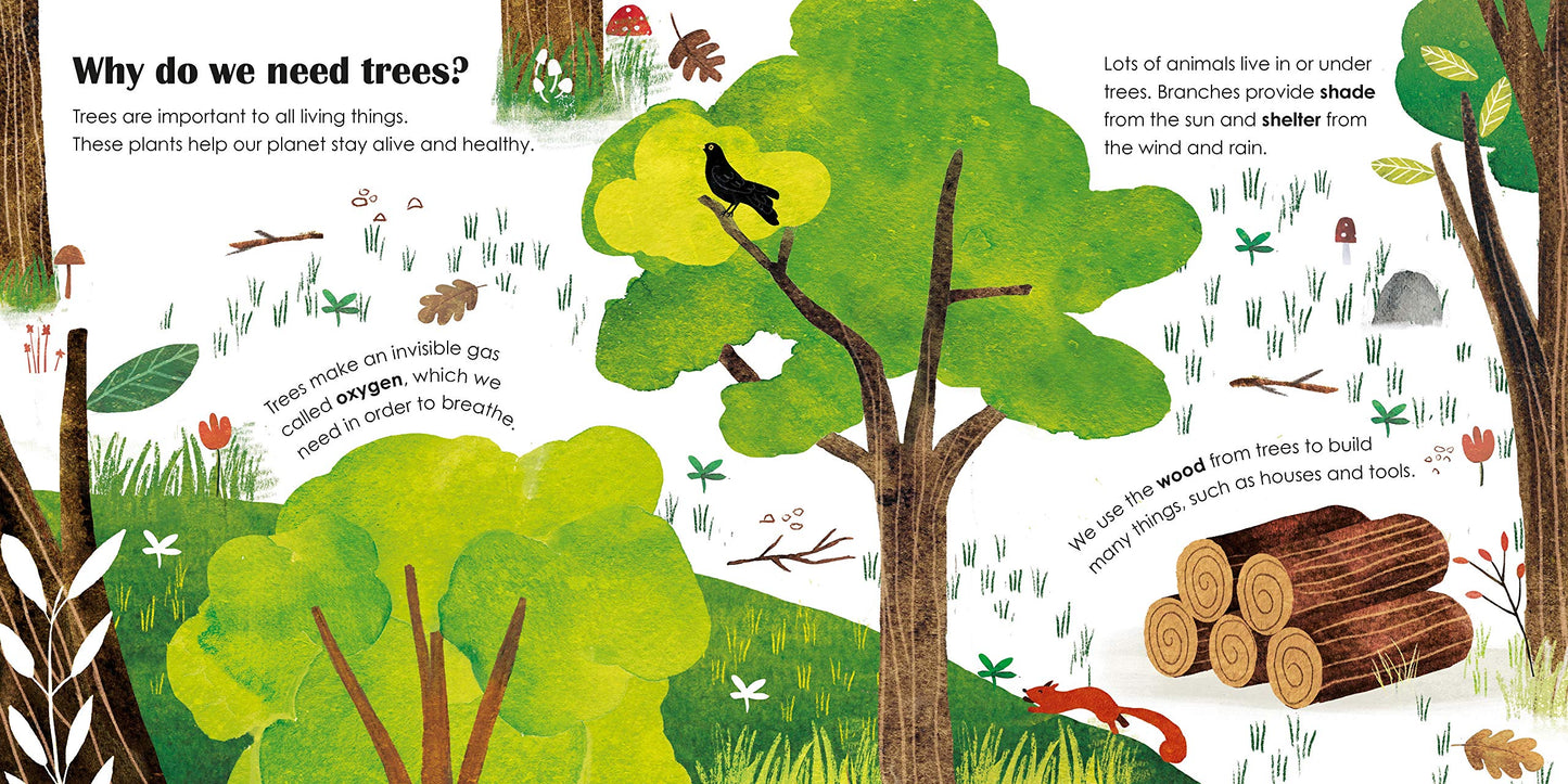Arbres - livre cartonné écologique