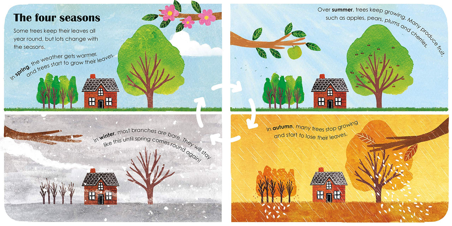 Arbres - livre cartonné écologique
