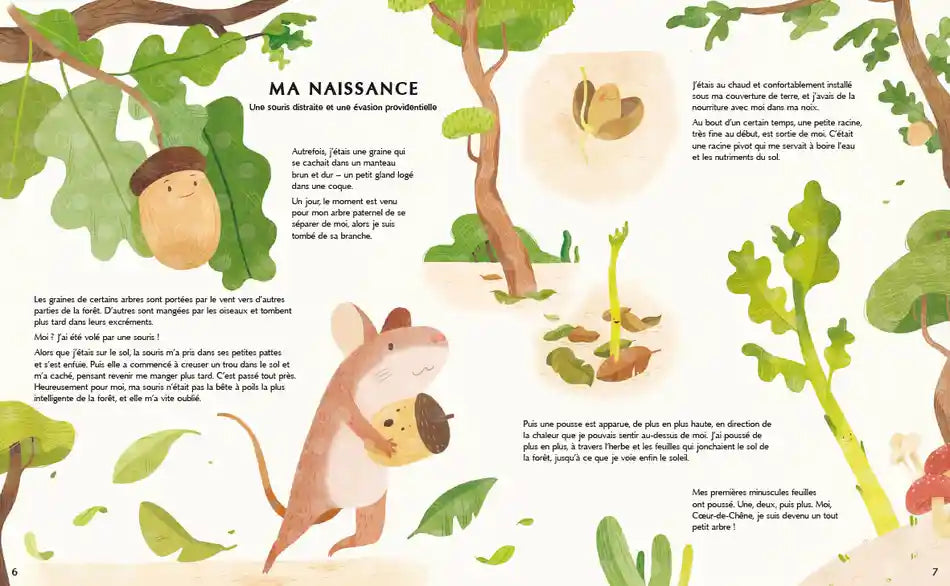 La vie secrète des arbres