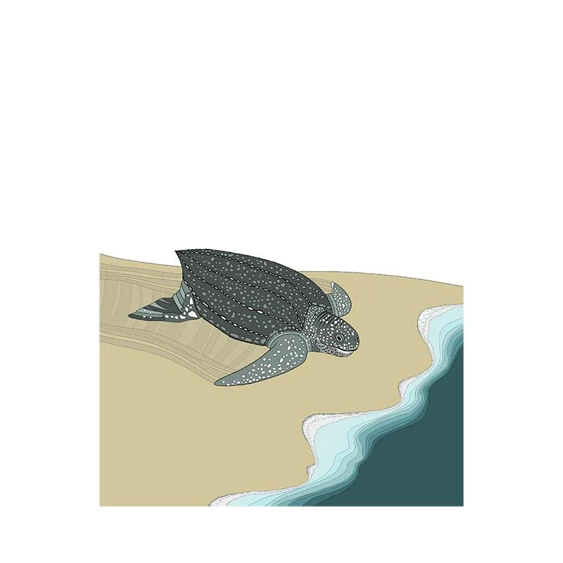 A-Z of endangered animals