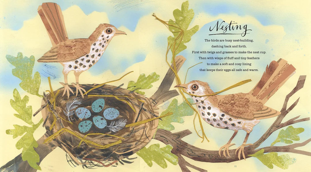 A first book of nature