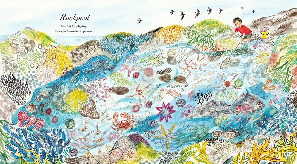 A first book of the sea