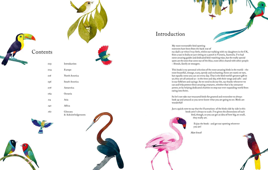 Atlas of Amazing birds /Atlas des oiseaux étonnants ( Édition Anglais)