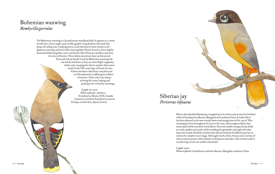 Atlas of Amazing birds /Atlas des oiseaux étonnants ( Édition Anglais)