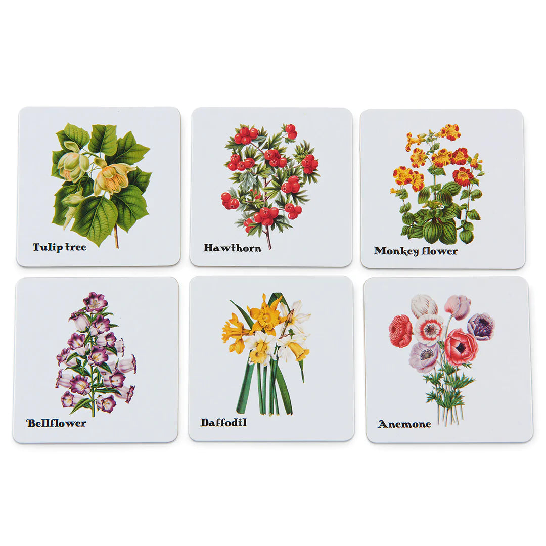 Jeu de mémoire de belles fleurs