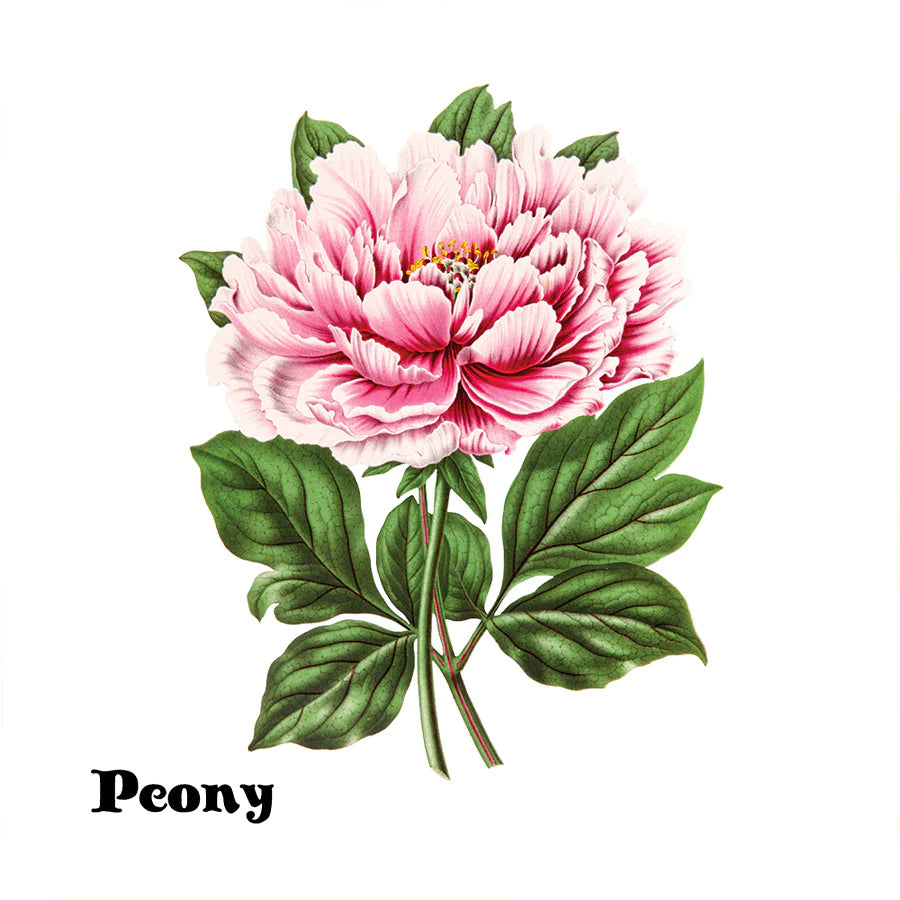 Jeu de mémoire de belles fleurs