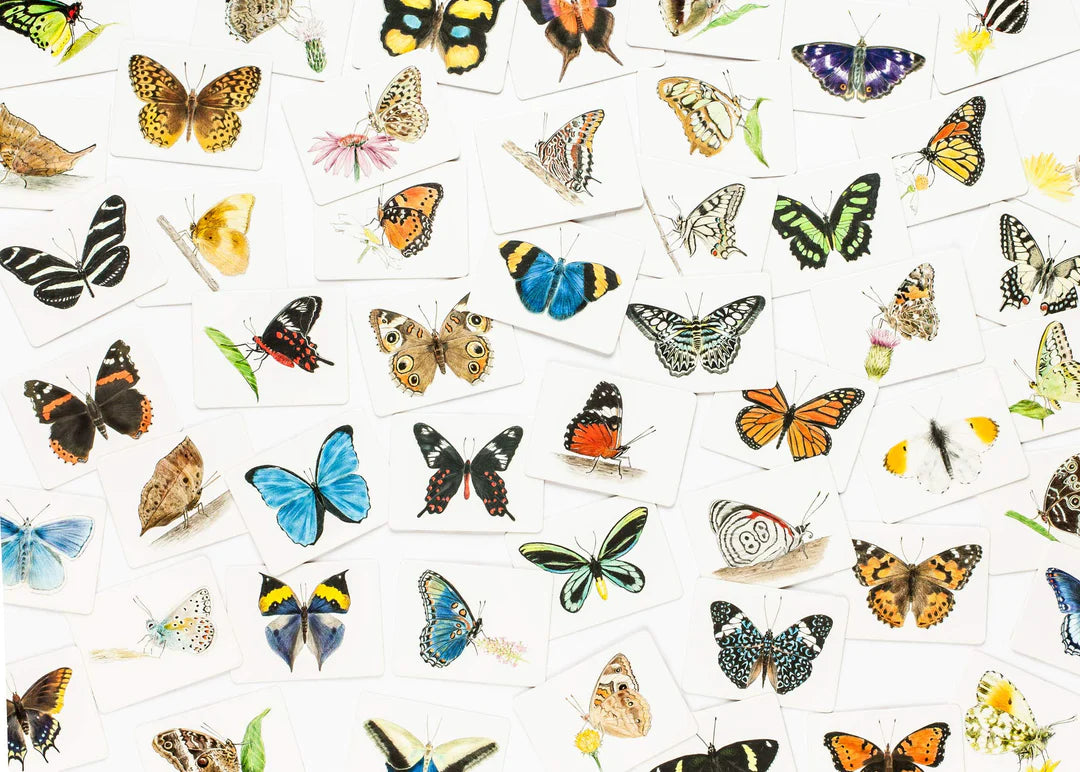Les ailes de papillon; un jeu d'association (BUTTERFLY WINGS A MATCHING GAME)