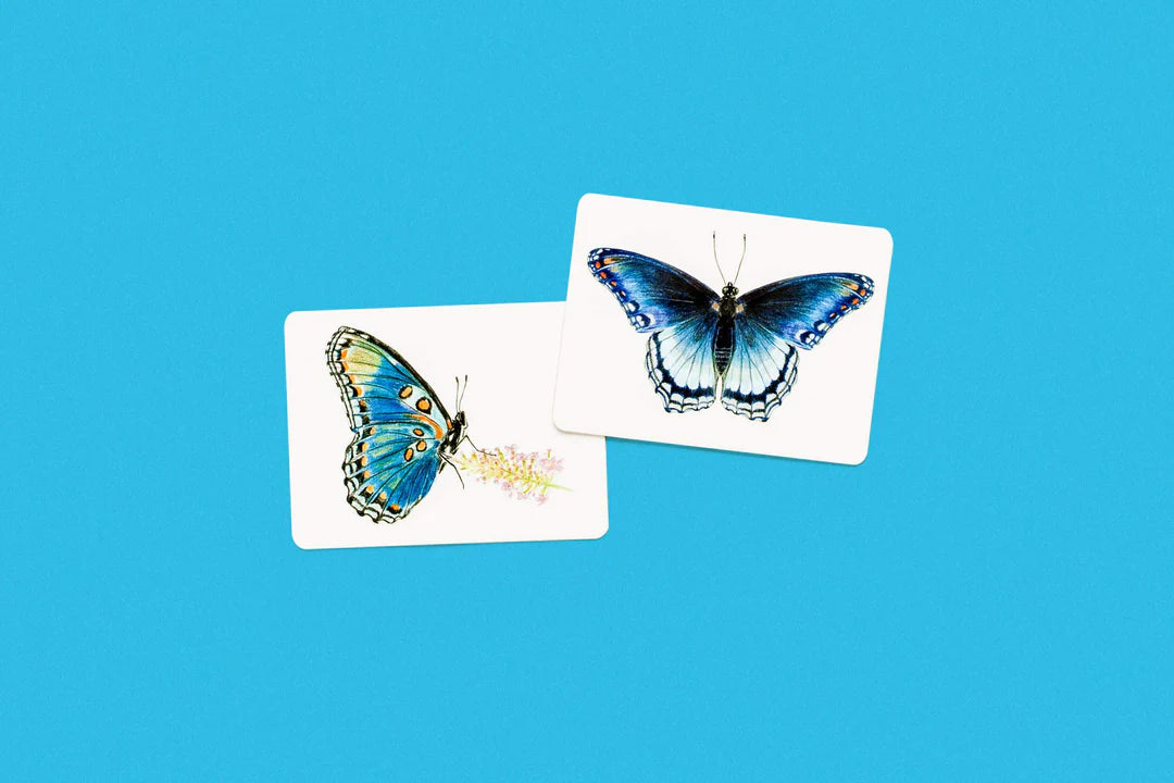 Les ailes de papillon; un jeu d'association (BUTTERFLY WINGS A MATCHING GAME)