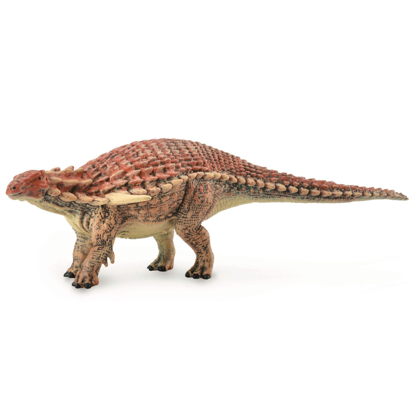 Borealopelta