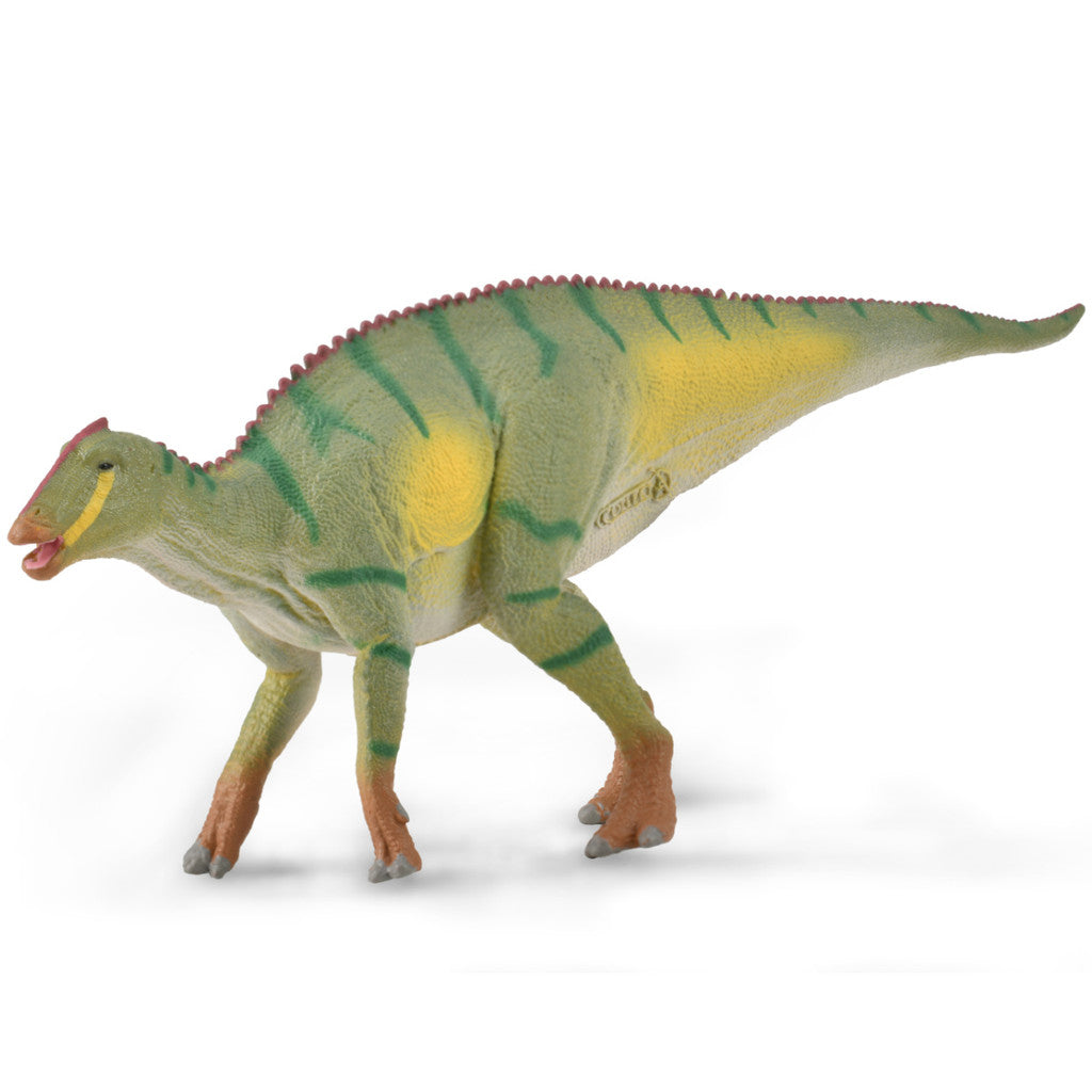Kamuysaurus