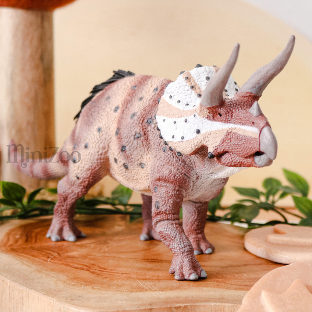 Triceratops Horridus