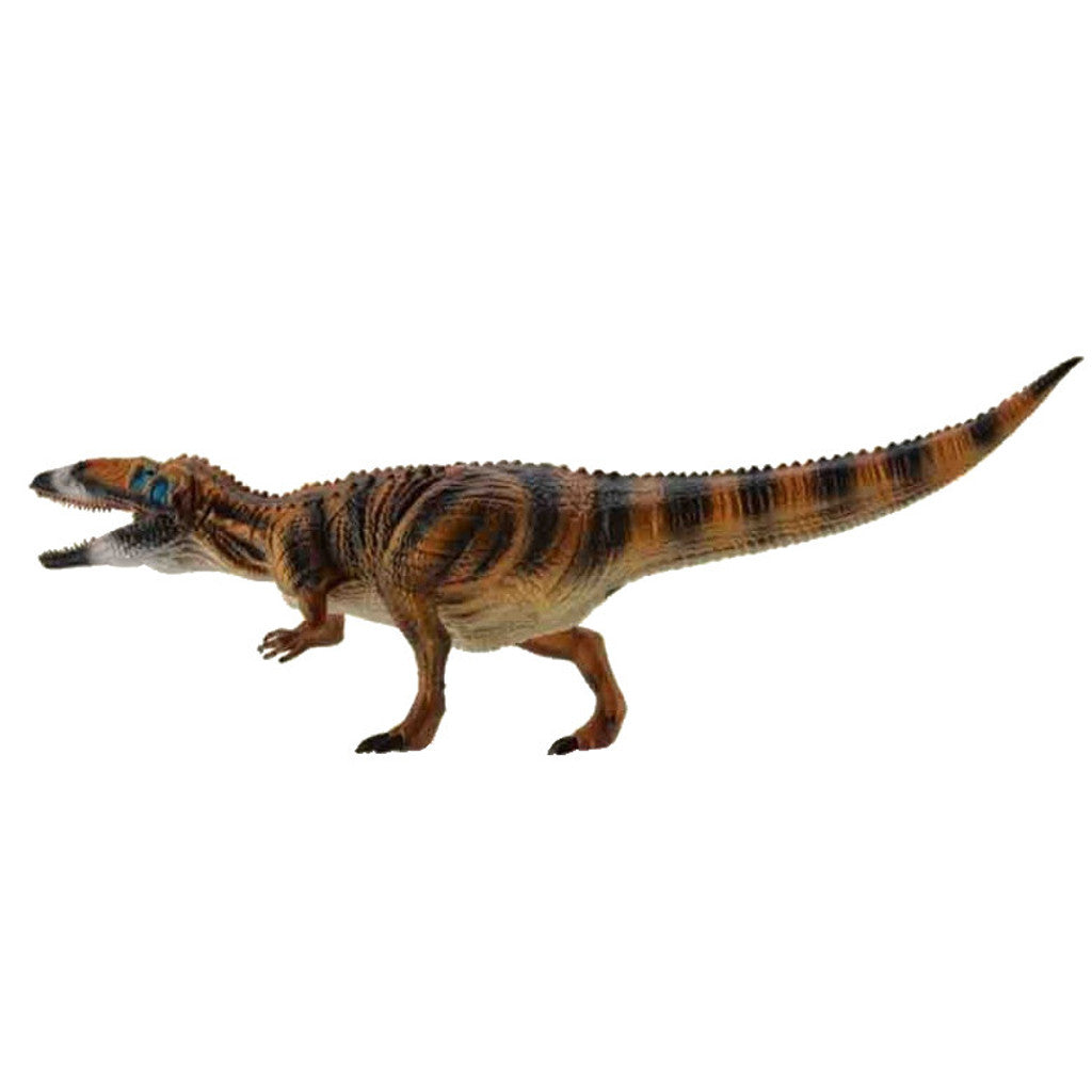 Carcharodontosaure
