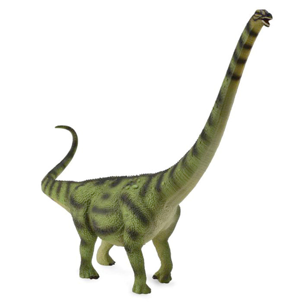 Daxiatitan