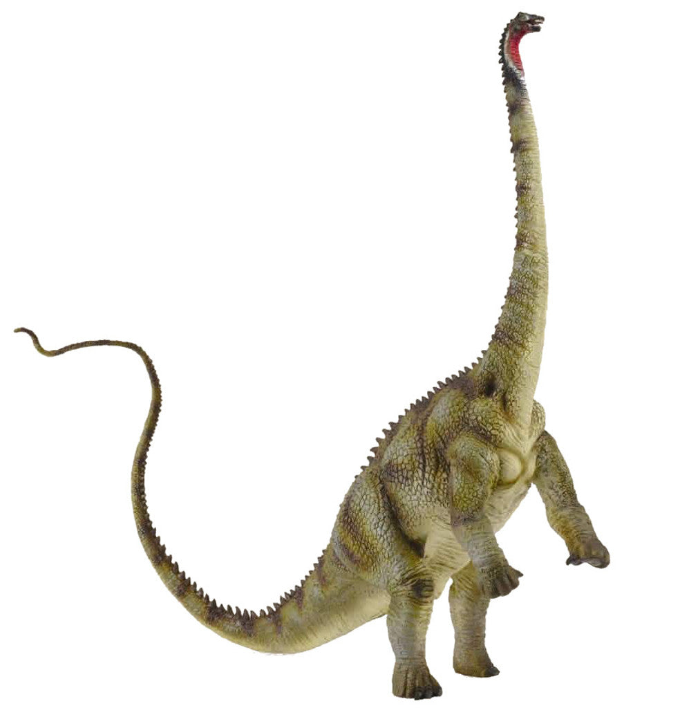 Diplodocus