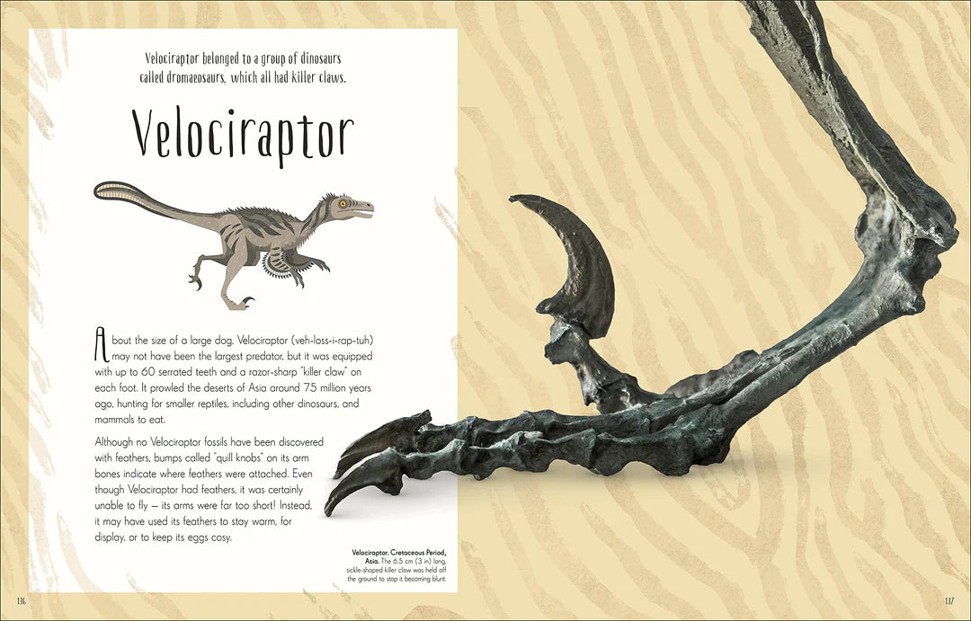 Dinosaurs and other prehistoric life