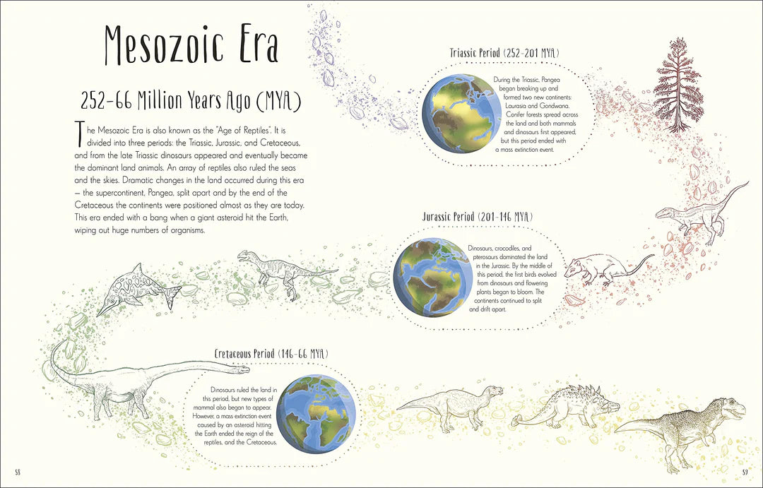 Dinosaurs and other prehistoric life