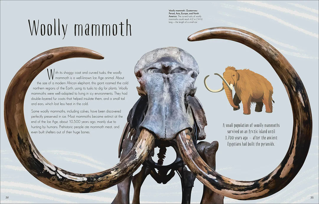 Dinosaurs and other prehistoric life