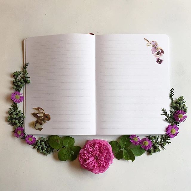 flora forager: un journal saisonnier recueilli dans la nature