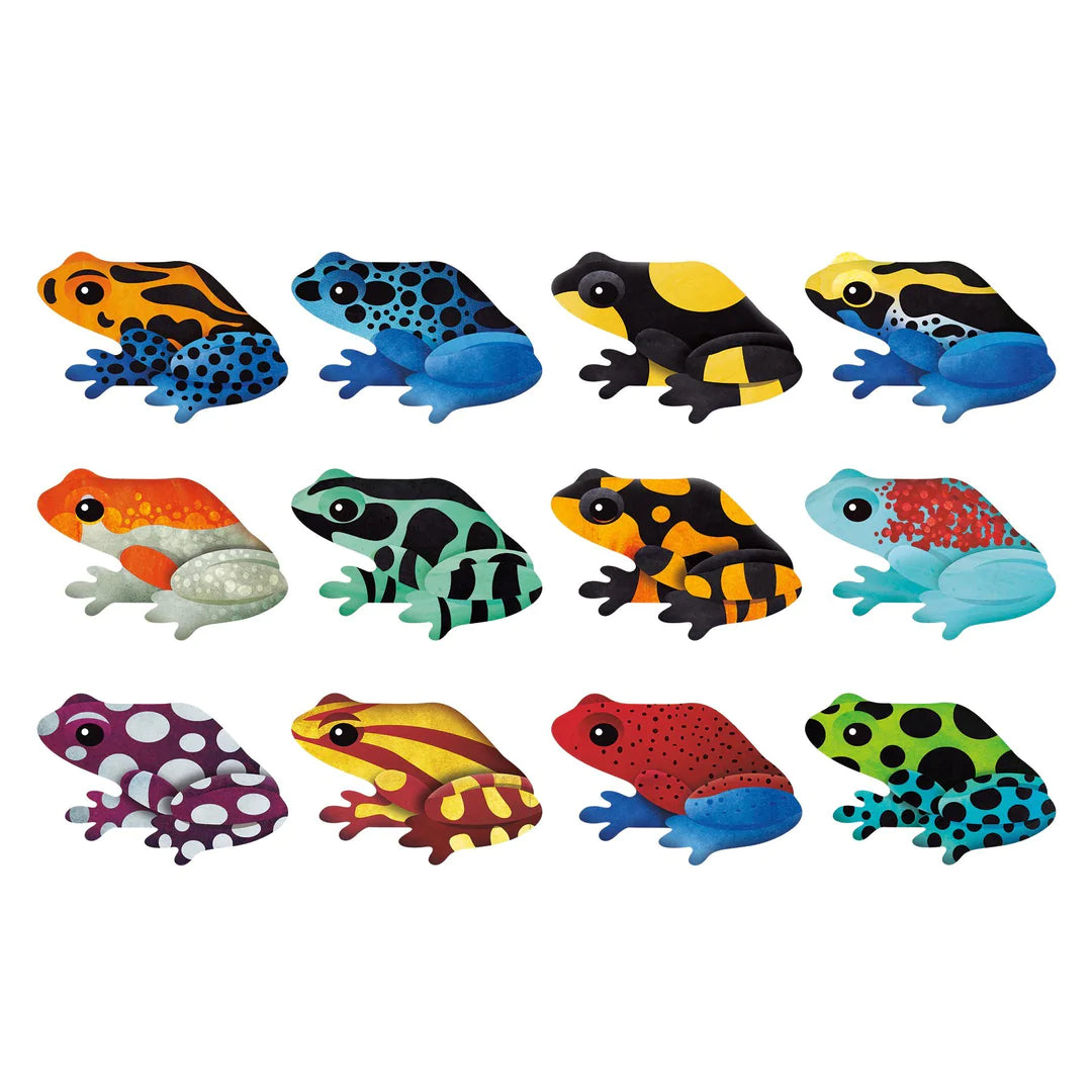Grenouilles tropicales