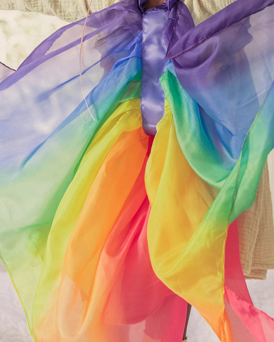 ailes arc-en-ciel