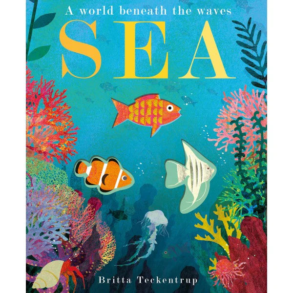 Sea - board book