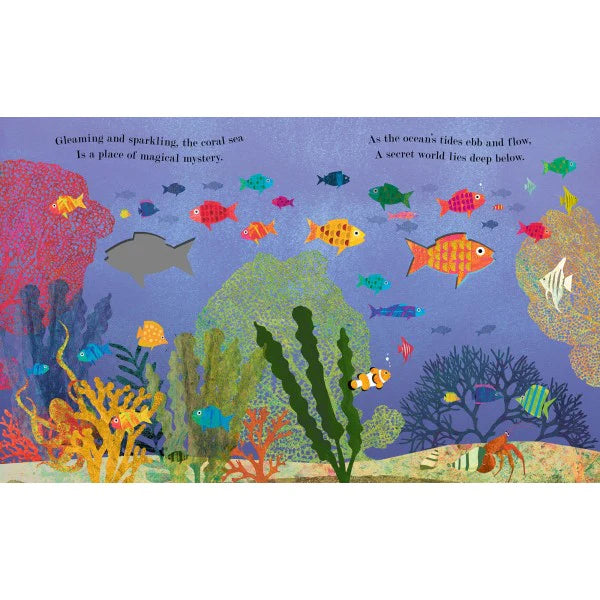 Sea - board book