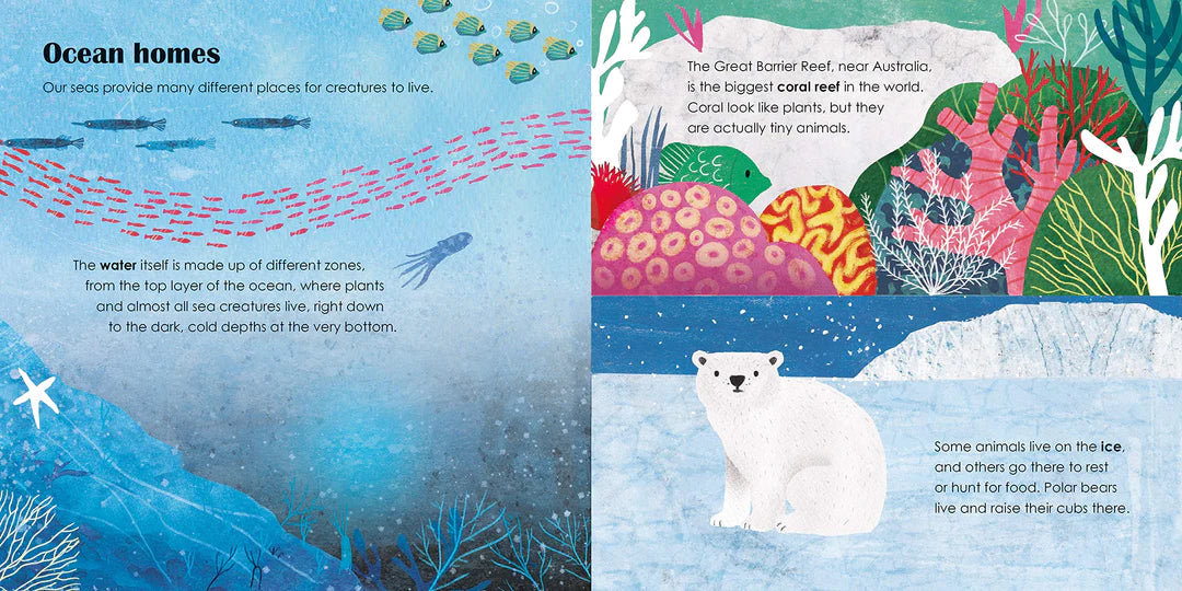 seas - eco board book