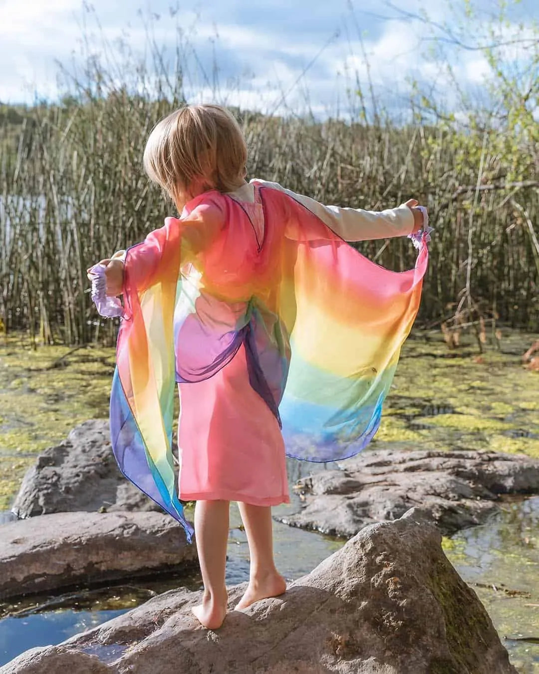 robe de fée avec des ailes