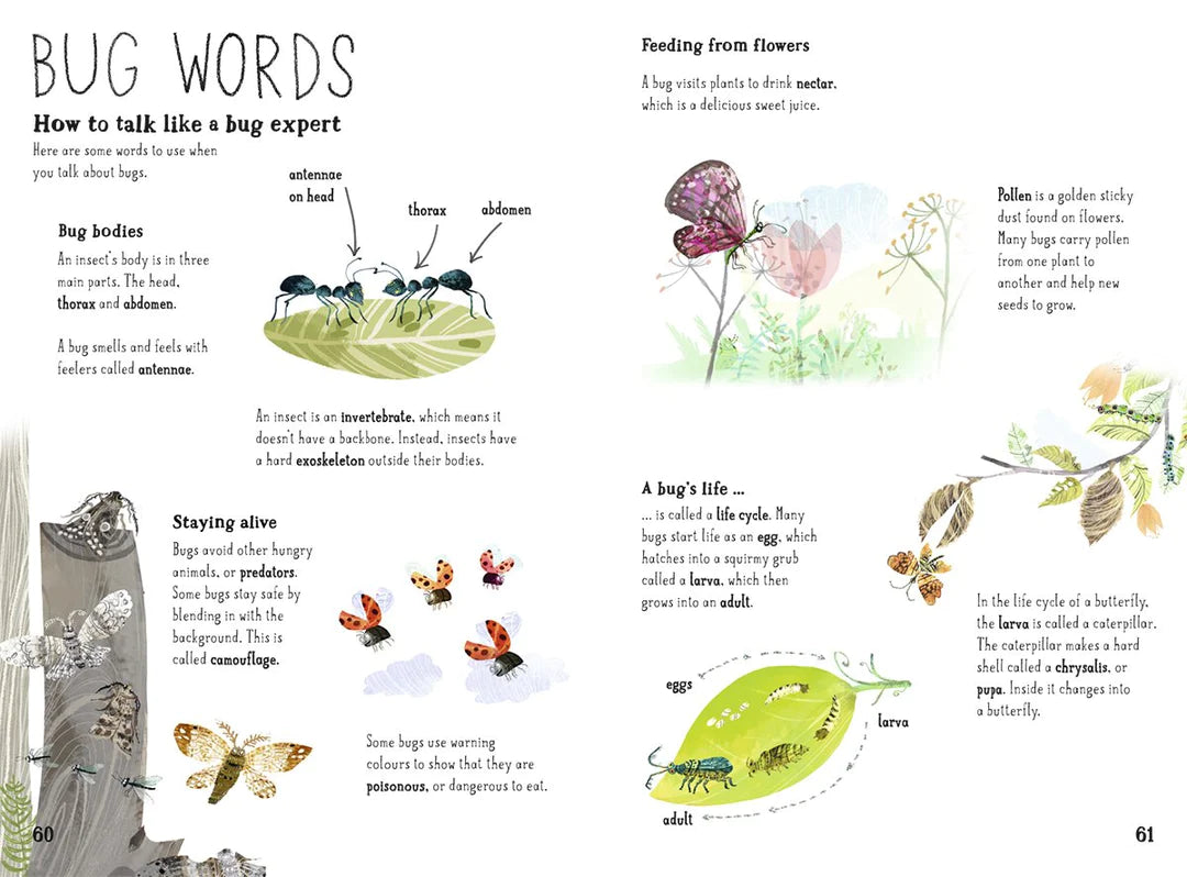 The big book of bugs