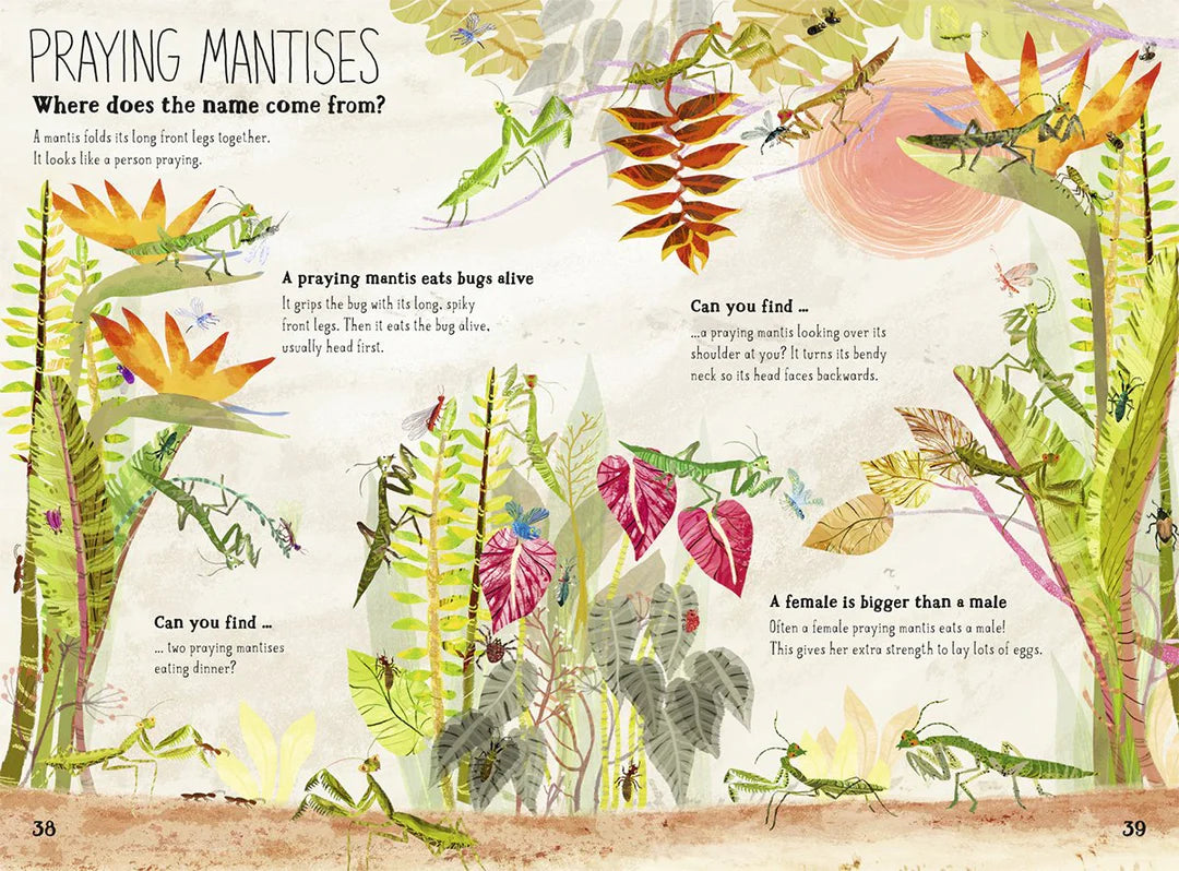 The big book of bugs