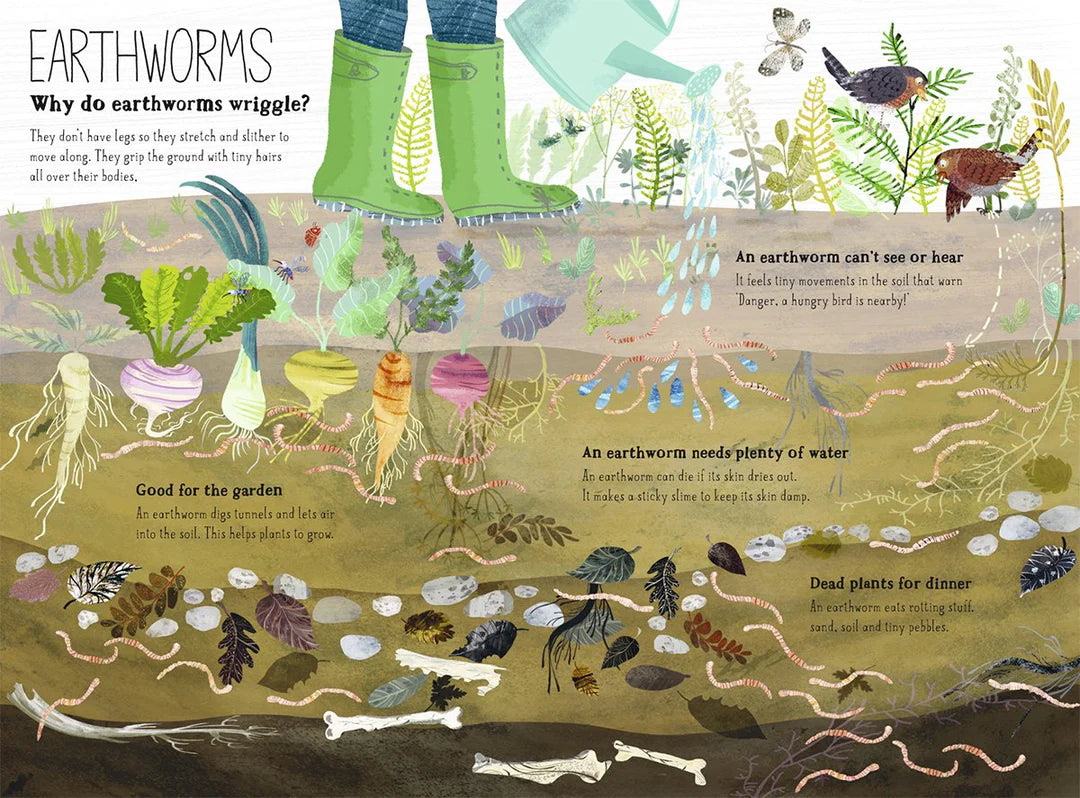 The big book of bugs