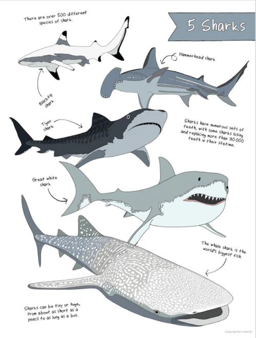 the ultimate animal counting book