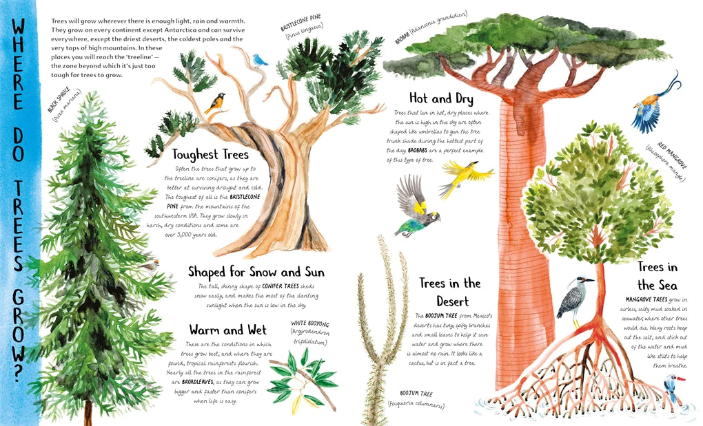 The Wonder of Trees