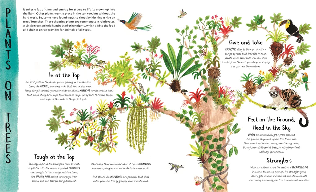 The Wonder of Trees