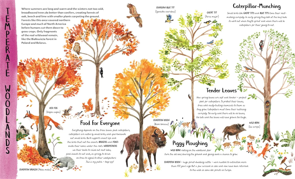 The Wonder of Trees