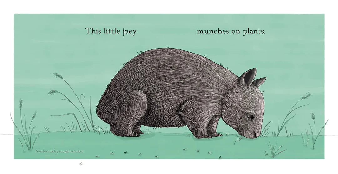 Ce petit joey (This little joey)