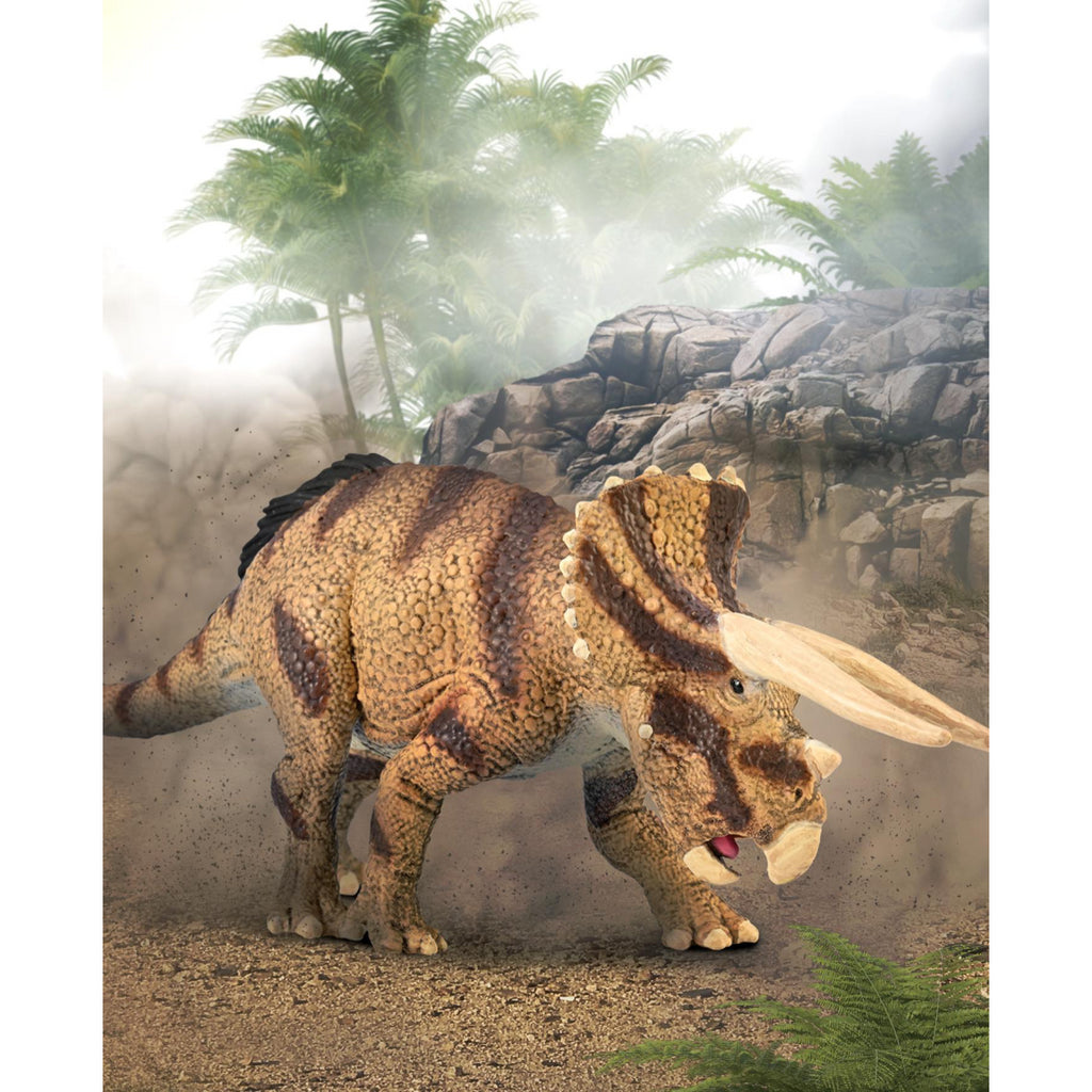 Triceratops Horridus