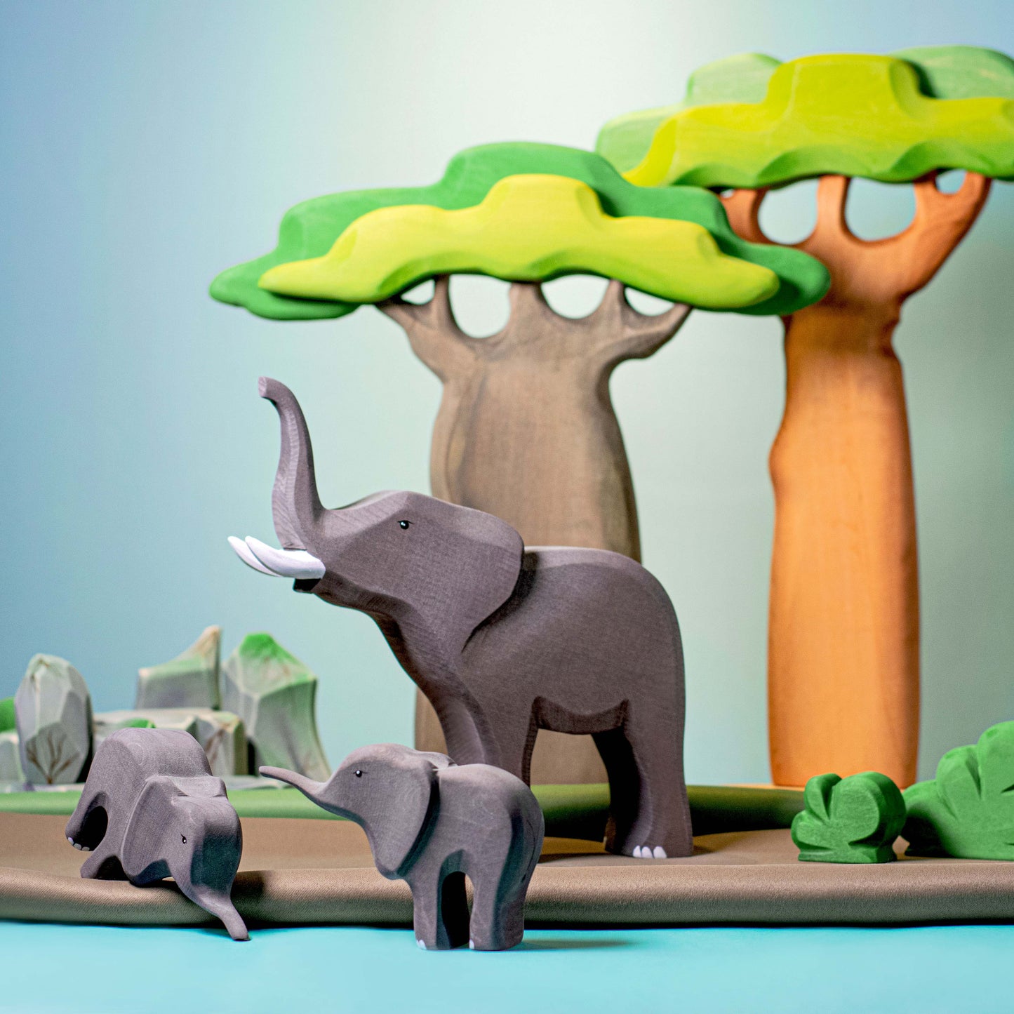 Tronc épais, Haute et lot de 2 baobab