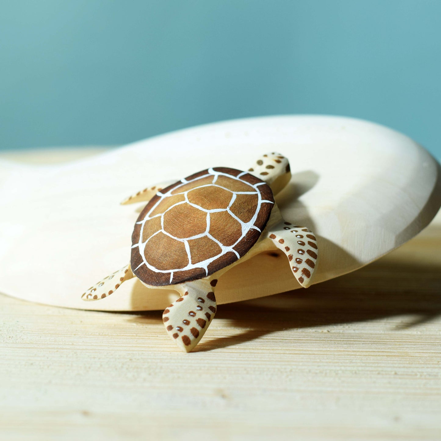 Tortue et Bébé Tortue