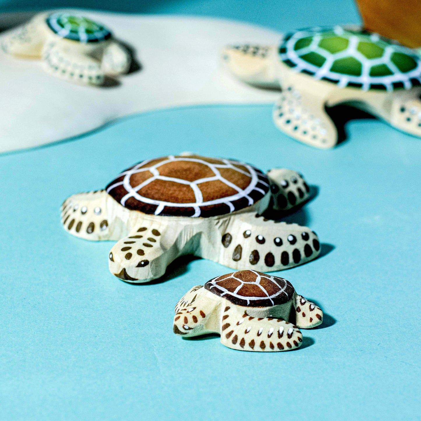 Tortue et Bébé Tortue