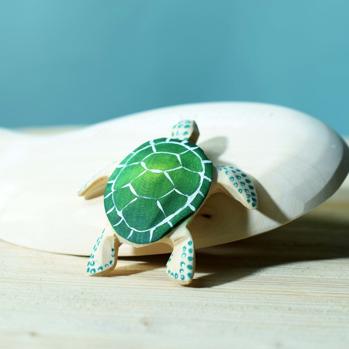 Tortue et Bébé Tortue