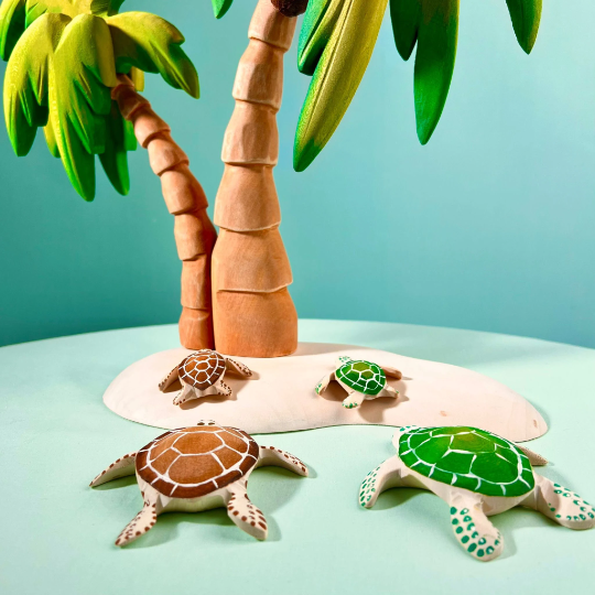Tortue et Bébé Tortue