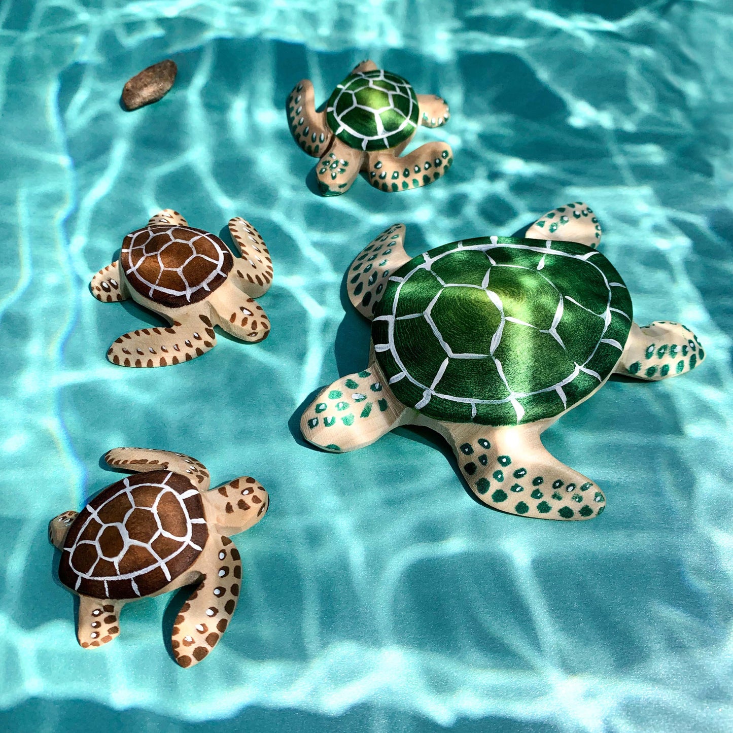 Tortue et Bébé Tortue